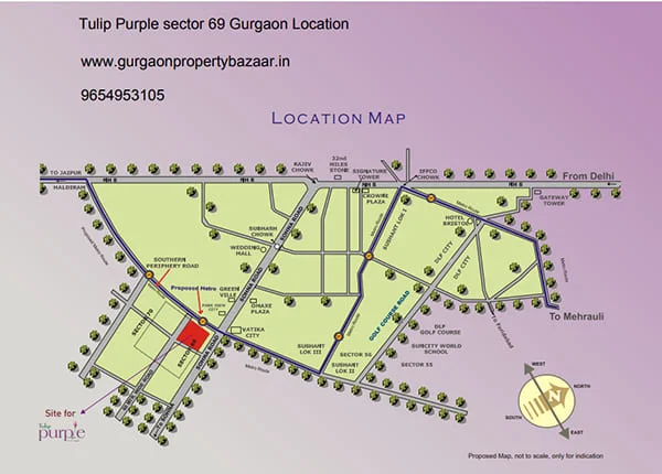 Tulip Purple location map